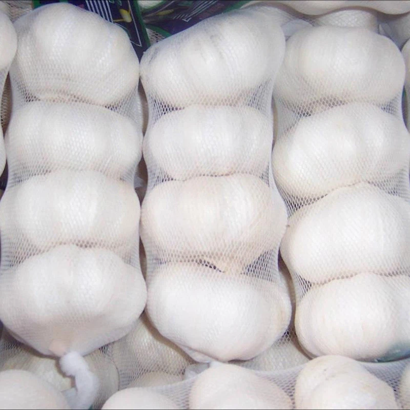 Fresh Pure White Garlic Small Package Fresh Pure White Garlic Small Package