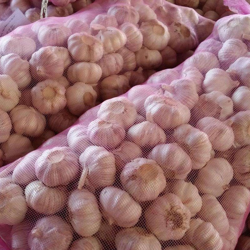 2021 High Quality Fresh Normal White Garlic 500g 2021 High Quality Fresh Normal White Garlic 500g