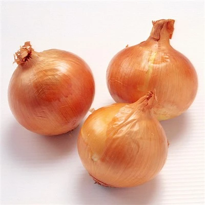 Cebola Amarela Orgnic Fresca Embalagem 20kg